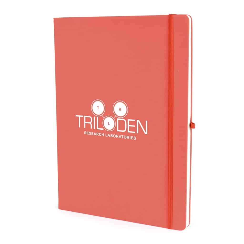A4 Mole Notebook