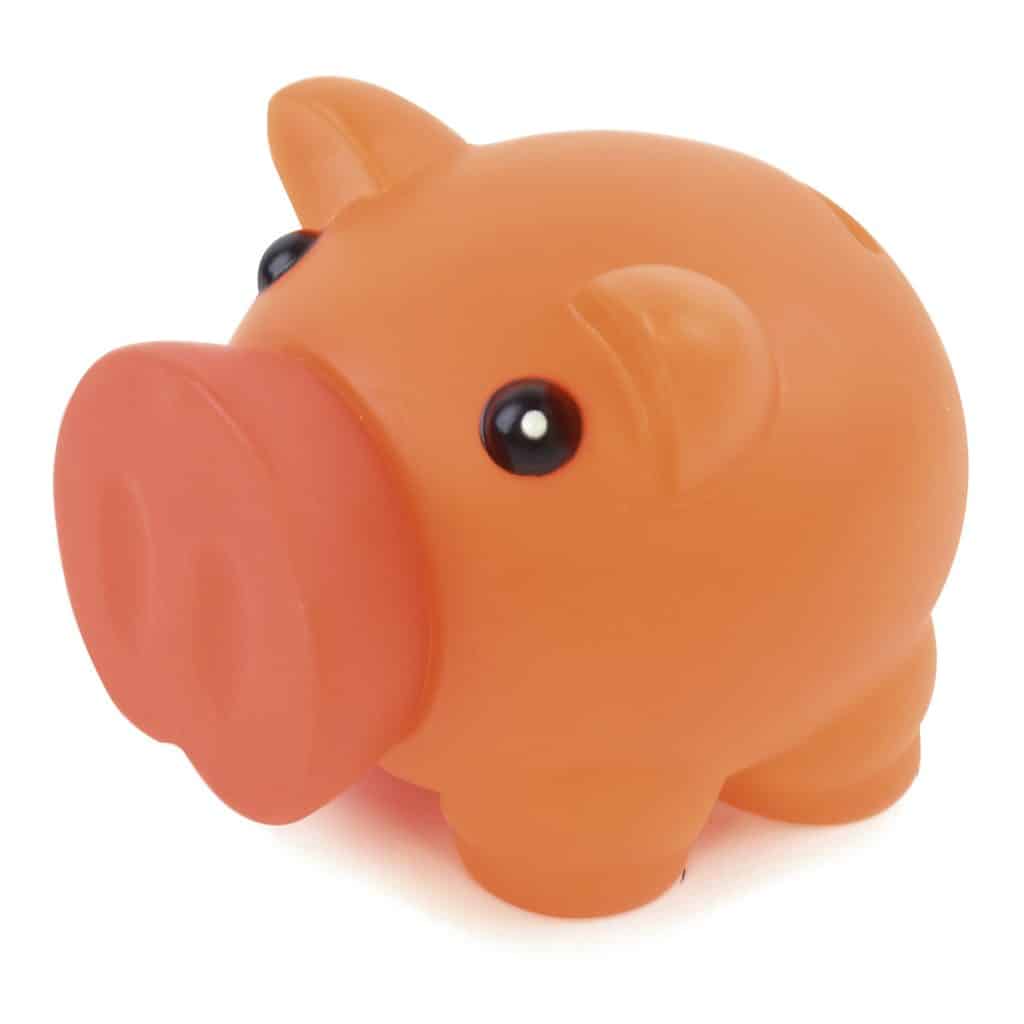 Rubber Nose Piggy Bank