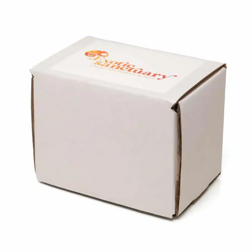 Ceramic Mug Gift Box