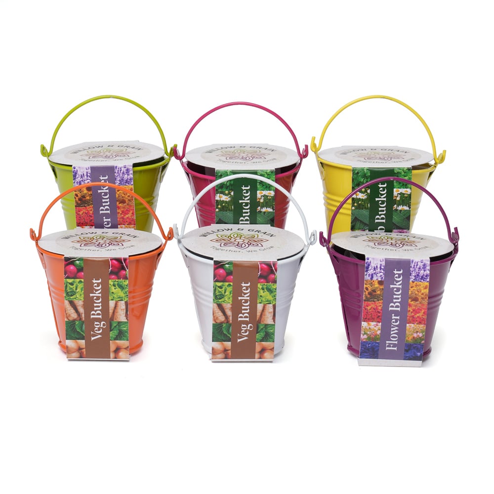 COLOURED MINI BUCKET GROW KIT