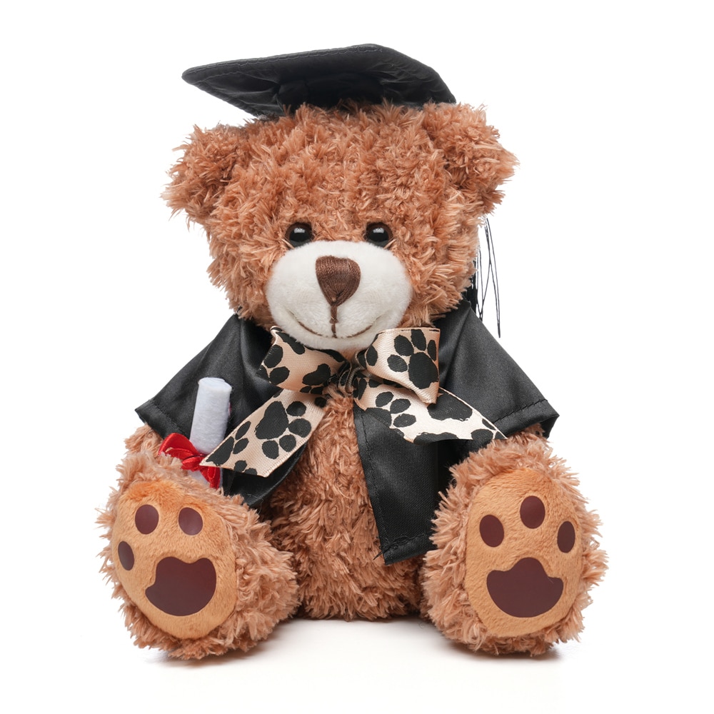 GRADUATION SYTLE MEDIUM PATCHED PAW TEDDY