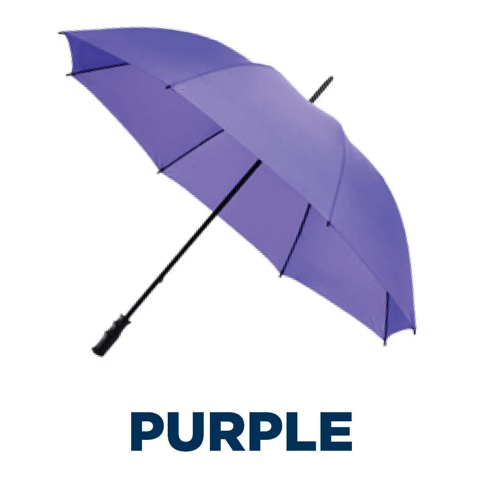 ValueStorm Golf in Purple