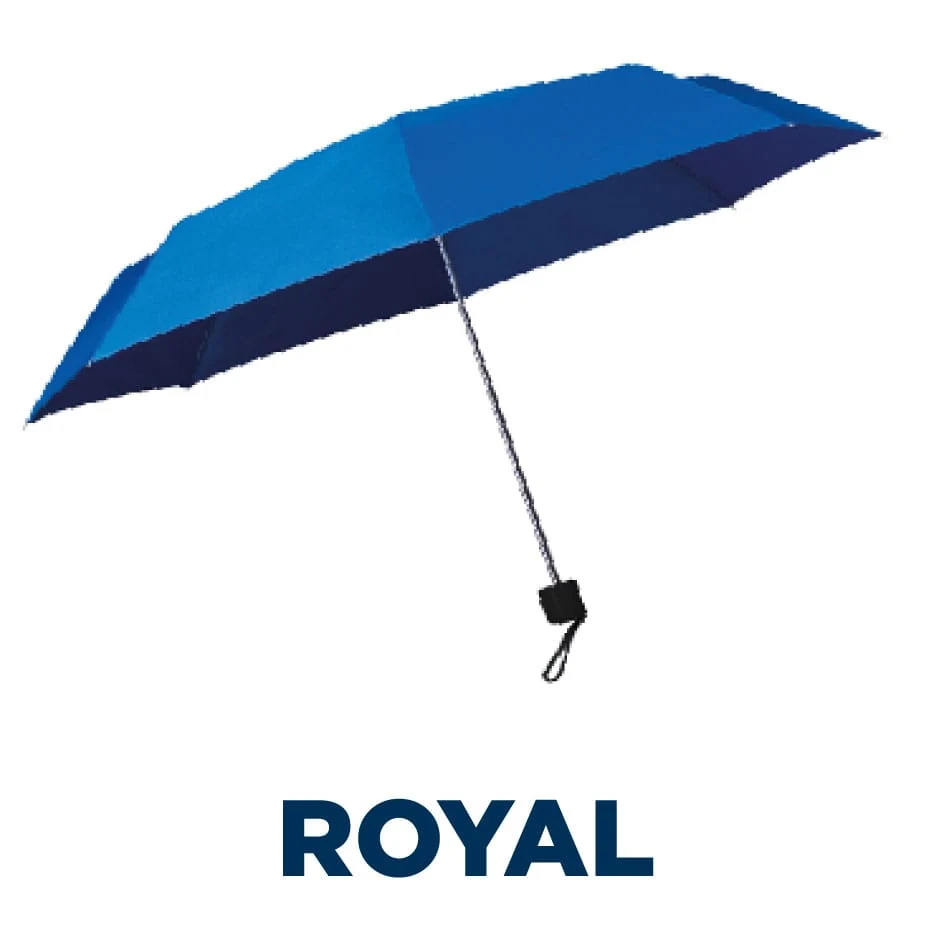 Budget SuperMini in Royal blue