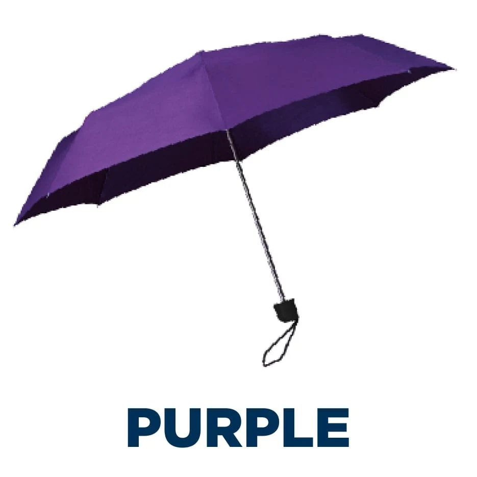 Budget SuperMini in Purple
