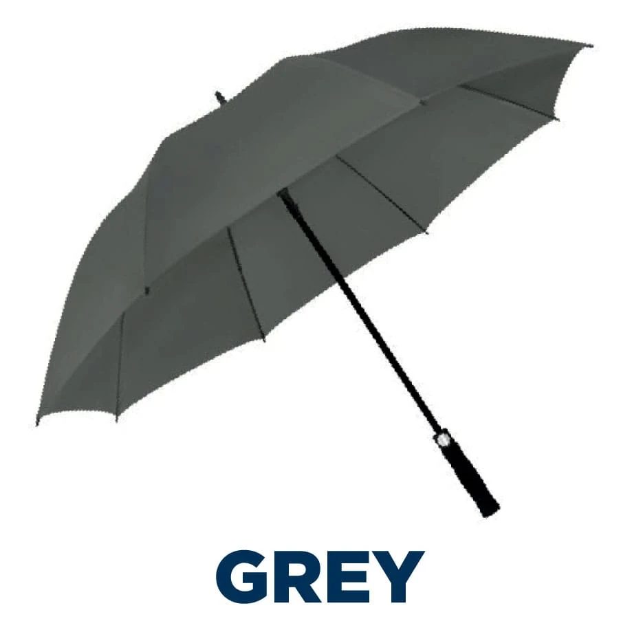 Auto Golf in Grey